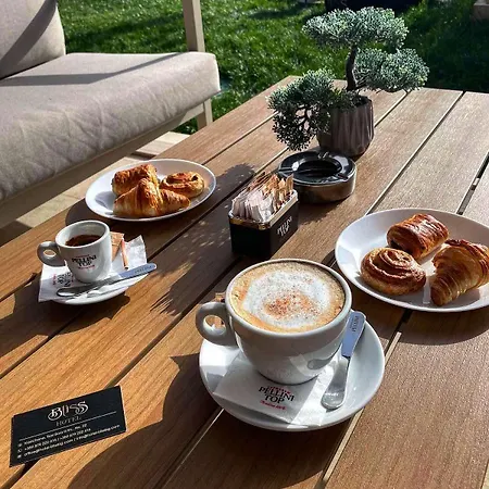 Bliss Sofia Airport Self Check In Kazichene